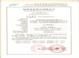 TYPE TEST CERTIFICATE FOR CHECK VALVE